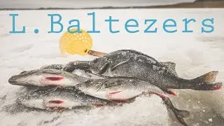 Lielais Baltezers. Ziemas cope.