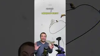 Бактерии, которых убивает эфирное масло. Кто они?
