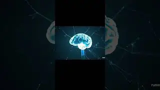 Why Your Brain Avoids Hard Work