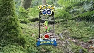 Community Day mit 10 Shiny Geckarbor und 3 Gl&uuml;cks | Pok&eacute;mon GO