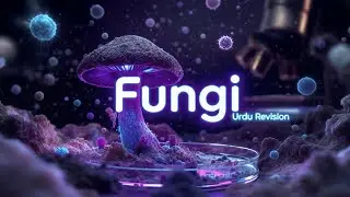 Fungus in Urdu | Microbiology Complete Lecture for Medical & Pharmacy Students
