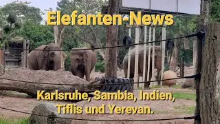 Elefanten-News: Unfälle in Sambia und Indien; Zoo Karlsruhe; Update zu Grand und Bunka.