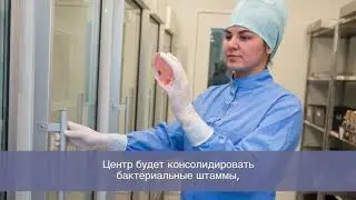 Производство препаратов бактериофагов
