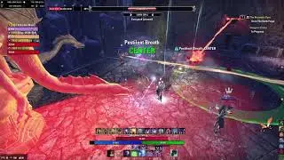 Dungeon Bits - Vet Cauldron HM... Healer is top dps + Vet Scalecaller Peak HM...