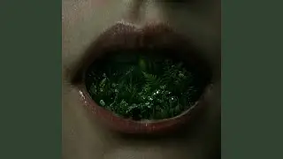 Don't Turn the Lights on Yet
