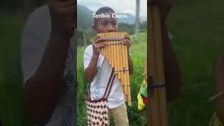 El niño sampoñero prodigio. 2024 el mejor del mundo en música andina. Toribío Cauca.
