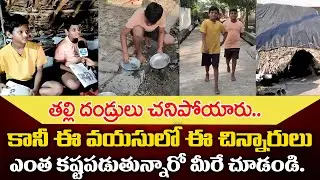 ఇద్దరు చిన్నారుల విషాద గాధ..| Vizianagaram Two Brothers Emotional Story |‪#idreamtenali