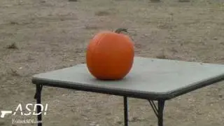 ASDI 2010 First Annual Halloween Pumpkin Shoot