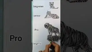 Tiger drawing in different levels💥🐯Tiger or lion,which can win in a hand-to-hand fight? #drawing