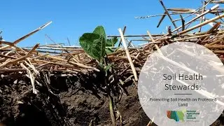 Soil Health Stewards: Soil Health Principles, Practices, & Barriers &ndash; Part 2