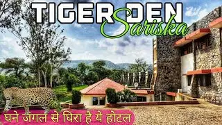 Tiger Den Sariska by RTDC #sariska #vlog #wildlife #rajasthan #youtube #jungle #travel #yt#alwar