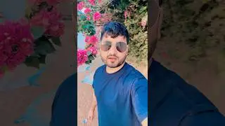Block bus video #block #bus #video #foryou #viralvideo #subscribe #shortsviral