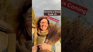 Growing a Dress Week 29