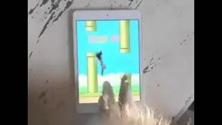 Funny With Flappy Bird