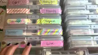Organizational Series: Iris Cases