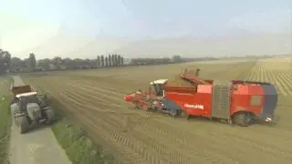 Dewulf Kwatro harvesting 3 x 90cm rows