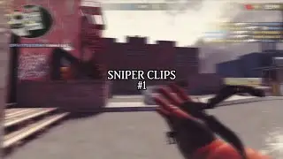 Sniper Clips #1 |Critical Ops|