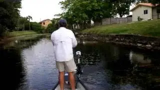 SnakeHead fishing in South Florida with Captain Shane Procell