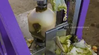 ARS Green Coconut Trimming Machine