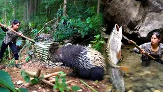 荒野美女獨自野外生存，竟然捕獲到極品豪豬，直接巡洋起來，更有河中下哈與，吃上美味烤魚！