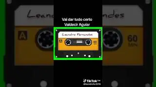 VAI DAR TUDO CERTO Valdecir Aguiar 