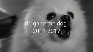 Rip Gabe the Dog (2011-2017)