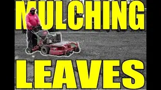 Mulching 3 Yards of leaves at Once!