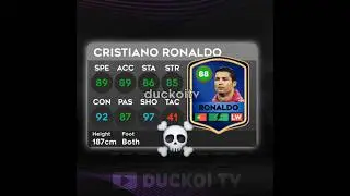 NEW SPECIAL ICONS! ☠️