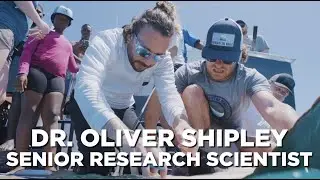 Dr. Oliver Shipley, Our Senior Research Scientist