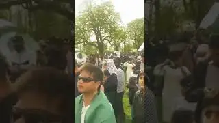 PMLN Lota Party | Overseas Pakistani Protest 2022 | Smallheath Park Birmingham | DanishVlogsster
