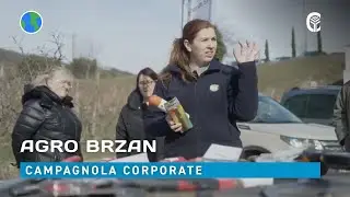 Corporate: CAMPAGNOLA - Agro Brzan
