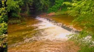 Bull Creek District Park