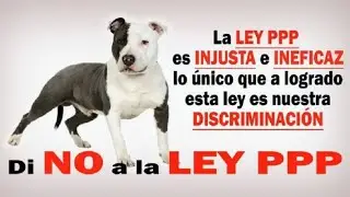 ⬆️🔴 &iquest;Que Ley Desobedecer? Ley 1774/2016 vs Ley PPP 1801/2016 - Expone Razas Fuertes Colombia 📣⬇️