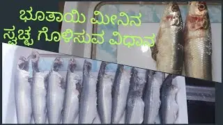How to clean Sardine fish or  Bhootaayi or Matthi  / ಸುಲಭವಾಗಿ ಭೂತಾಯಿ/ ಮತ್ತಿ ಮೀನನ್ನು ಶುಚಿಮಾಡುವ ಬಗೆ