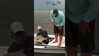 Permit Caught & Released!