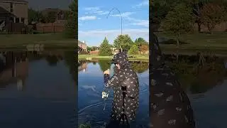 What&rsquo;s your go to lure for beating the skunk? #fishing #bassfishing #fishingtexas