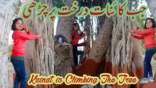 Ghalat Fehmi Song | Kainat is Climbing The Tree | Tree Top Climbing | Tree Climbing Basics for Kids