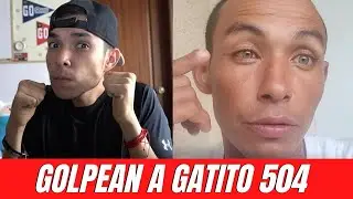GUATEMALTECO LE DA UNA LECCIÓN A GATITO 504