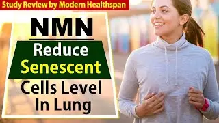 NMN Reduce Senescent Cells Level In Lung & Restore Lung Function | Study Review