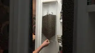 Wall Mounted Dog food dispenser