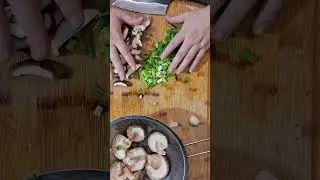 Hoshanho knife review, and first cooking video 