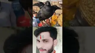 #jal #jal #shanidev #Bhagwaan #shanl #bhaJaN