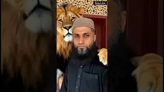 RAJU LION 🦁👑 #rajulion #lion #lions #love #motivation #faiziwildlifefarm #miansaqib #shehrmaindihat