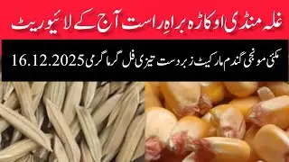 DHAN PRICE TODAY OKARA MANDI PUNJAB WHEAT PRICE TODAY OKARA MANDI PUNJAB MAIZE RATE TODAYOKARA MANDI