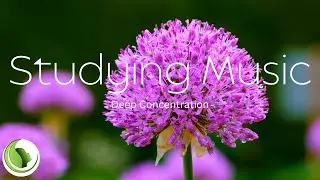 ☀️ Calm Uplifting Studying Music With Relaxing Idyllic Nature Scene, Concentration Music, 1 Hour ⭐
