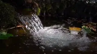 video nature at its best drone | vlogs Rustam