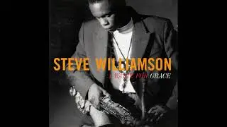 Steve Williamson - Mandy's Mood (1991)