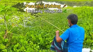 Hook Fishing in the Village | Traditional Fishing & Relaxing Countryside Life | Asian Village Life