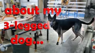 A Shop Safety Tail