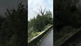 Barrios en las alturas en San Sebasti&aacute;n: Berio y Goienetxe